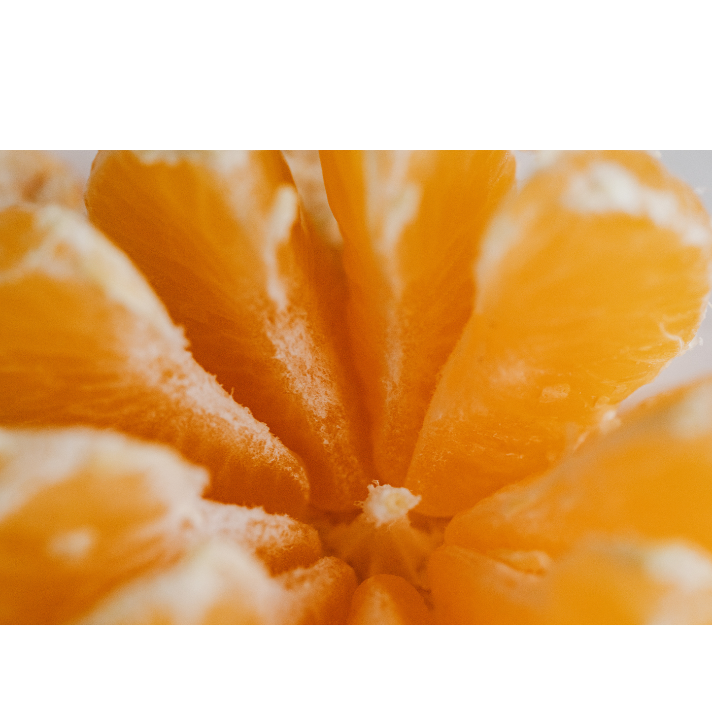 Premium Sweet Orange