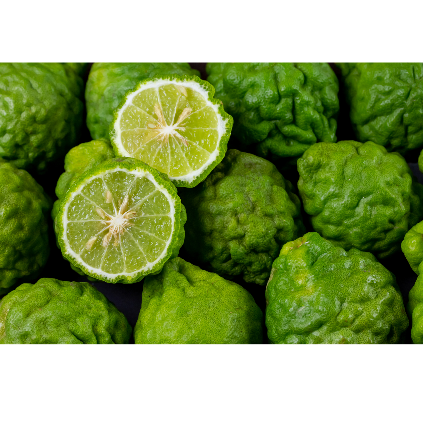 Bergamot